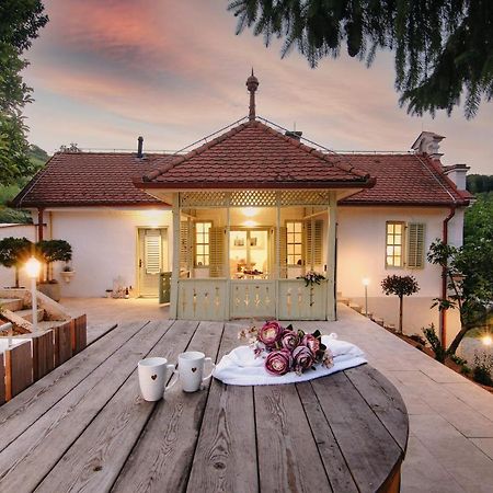 Vila Vilma Vineyard Cottage Lendava Εξωτερικό φωτογραφία