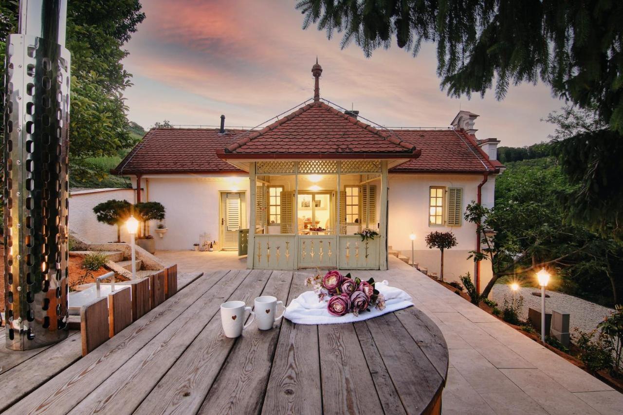 Vila Vilma Vineyard Cottage Lendava Εξωτερικό φωτογραφία