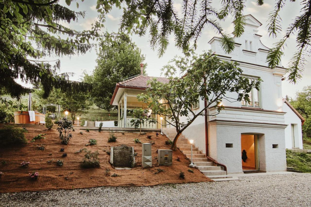 Vila Vilma Vineyard Cottage Lendava Εξωτερικό φωτογραφία