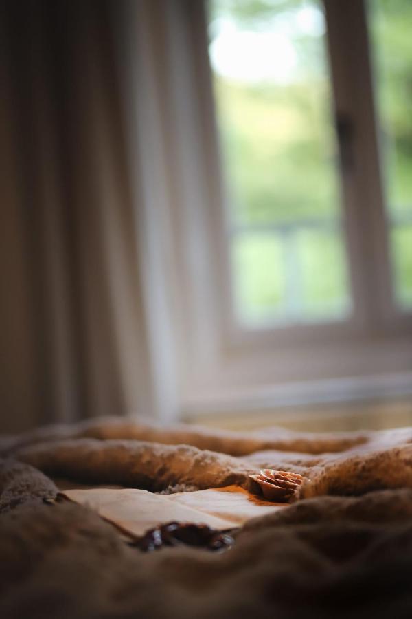Vila Vilma Vineyard Cottage Lendava Εξωτερικό φωτογραφία