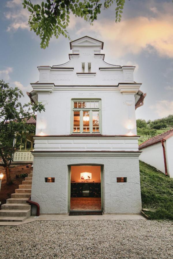 Vila Vilma Vineyard Cottage Lendava Εξωτερικό φωτογραφία